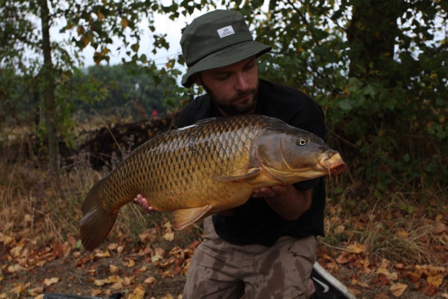 Rav with a 24lb common