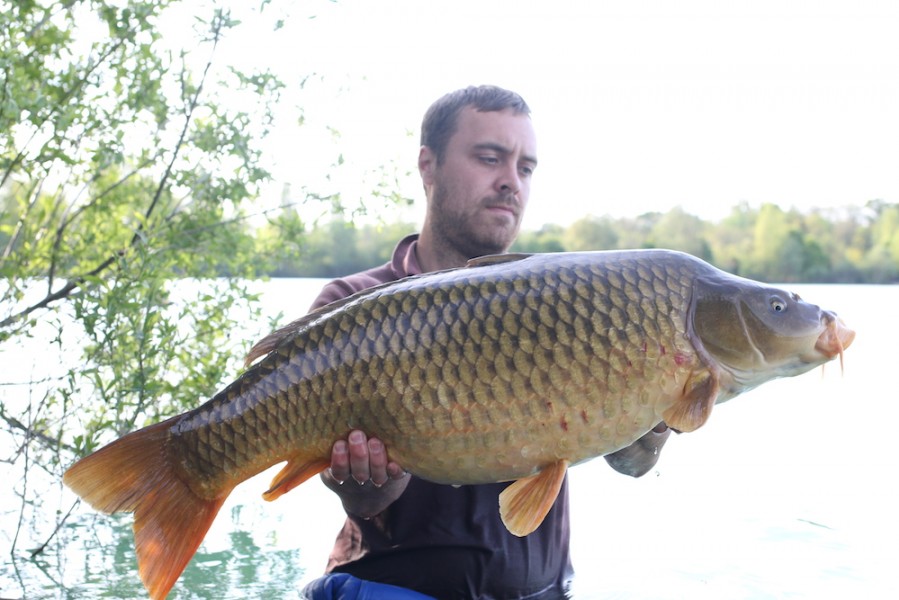 Richard Austin with a 33lb Common from Stock Pond 29.4.17