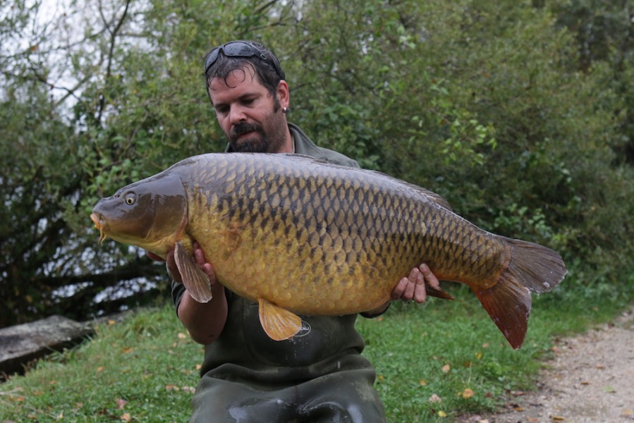 Andy with Classico, 46lb, Big Girls, 23.09.17