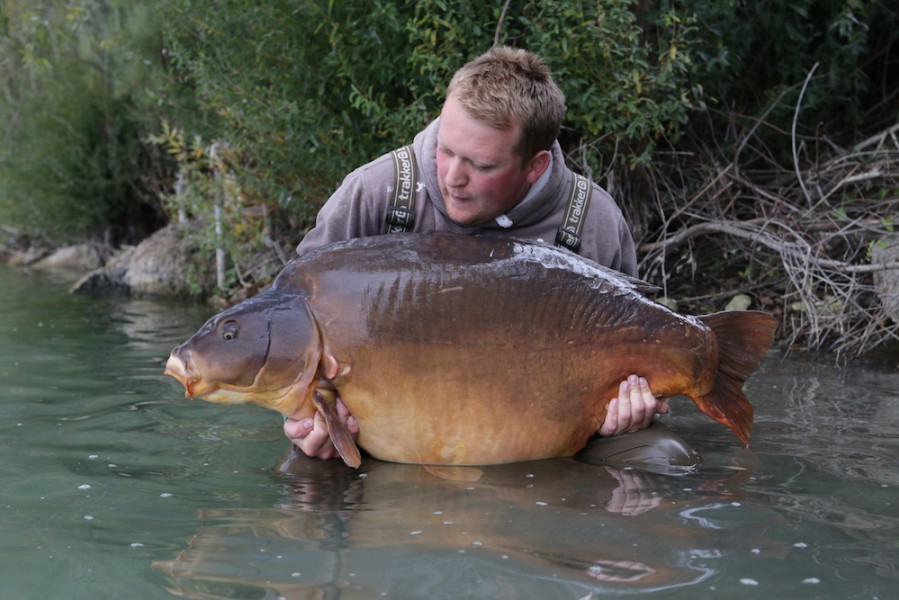 Jake with the mighty Fudgy's at 80lb