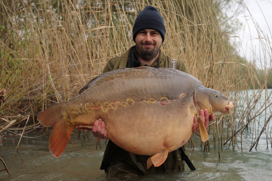 The Dustbin at 61lb what a carp!!!!!