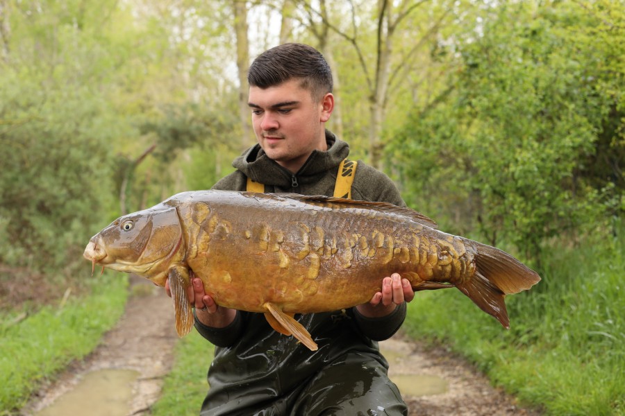 Rhys With Folded Tail Scales at 24lb 4oz